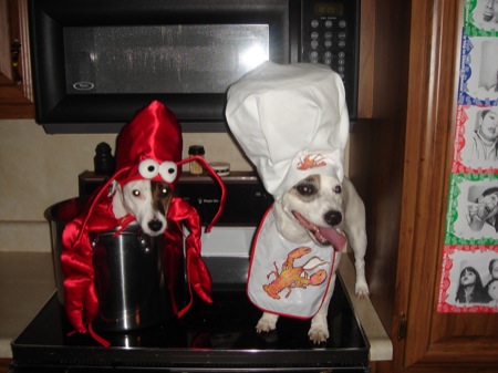 [Chef+and+Lobster+Dog.jpg]