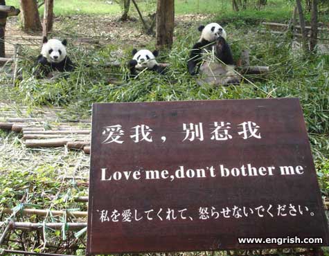 [love+me+panda.jpg]