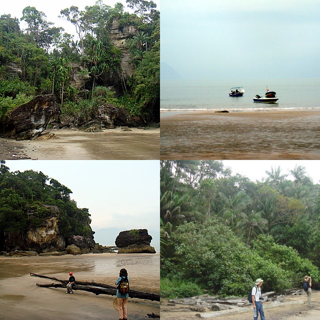 [bako-collage+out+of+jungle+1st+trail.jpg]