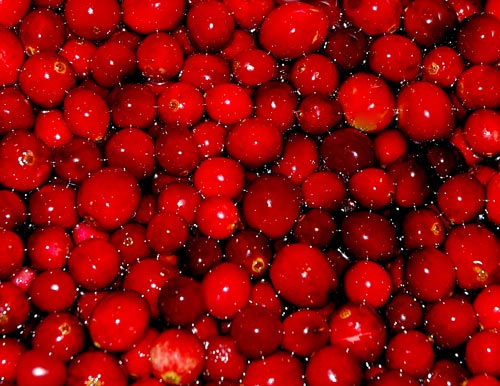 [cranberries2092.jpg]