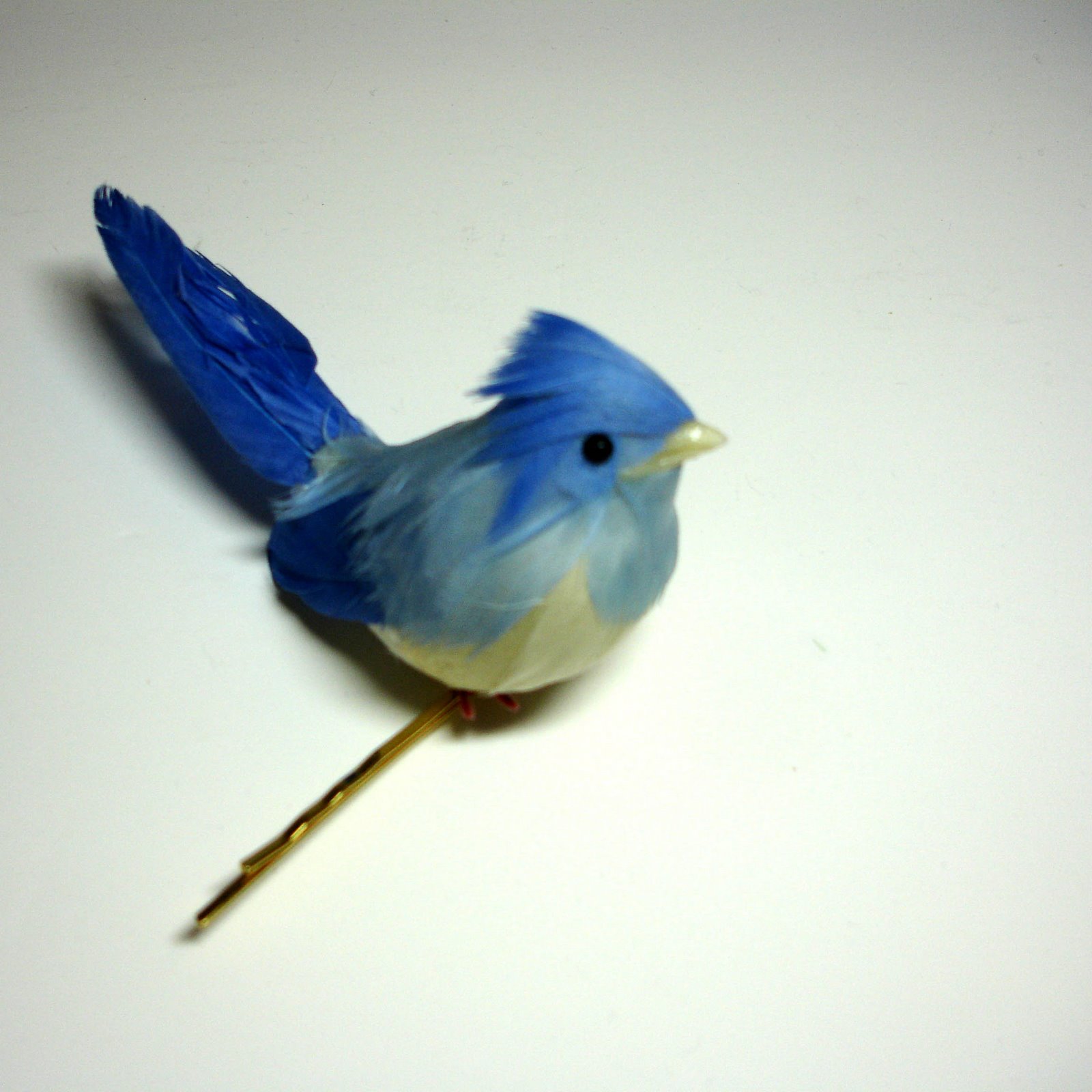 [bird1.jpg]