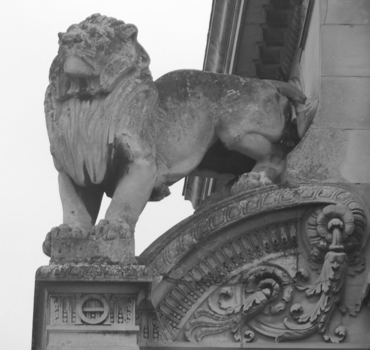 [Chantilly+lion.jpg]