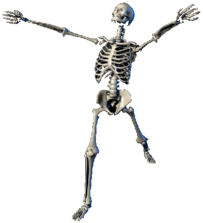 [skeleton.gif]
