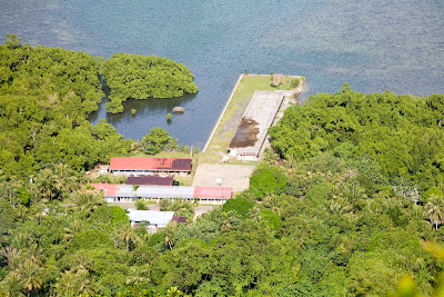 Picture from above of a school on the waterfront with jungle vegetation around
