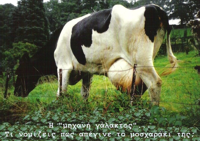 [Over+Milked+Cow.jpg]