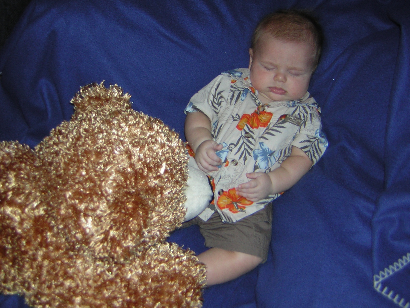 [3+months+teddy+bear.JPG]