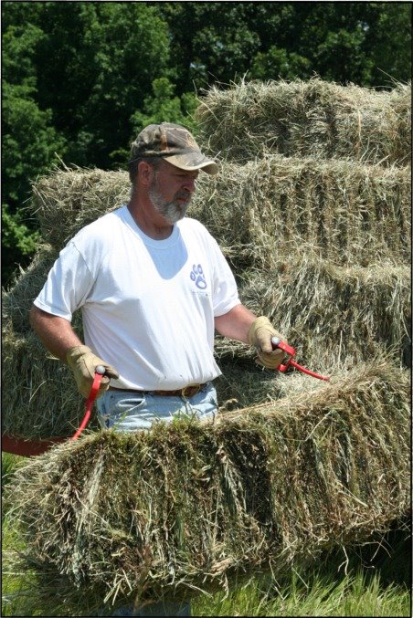 [Dad+hauling+hay.JPG]