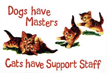 [Dogs-MastersCats-Support-Staff-Magnet-C11750002.jpeg]
