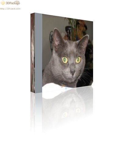 [Kitty+CD+box.jpg]