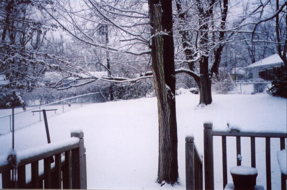 [snow+in+Kansas.jpg]
