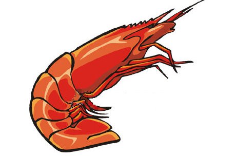 [shrimp.bmp]