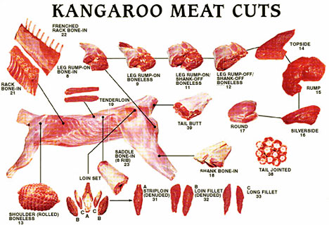 [kangaroo-meat.jpg]