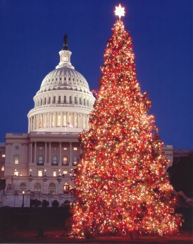 [capitolchristmastree.jpg]