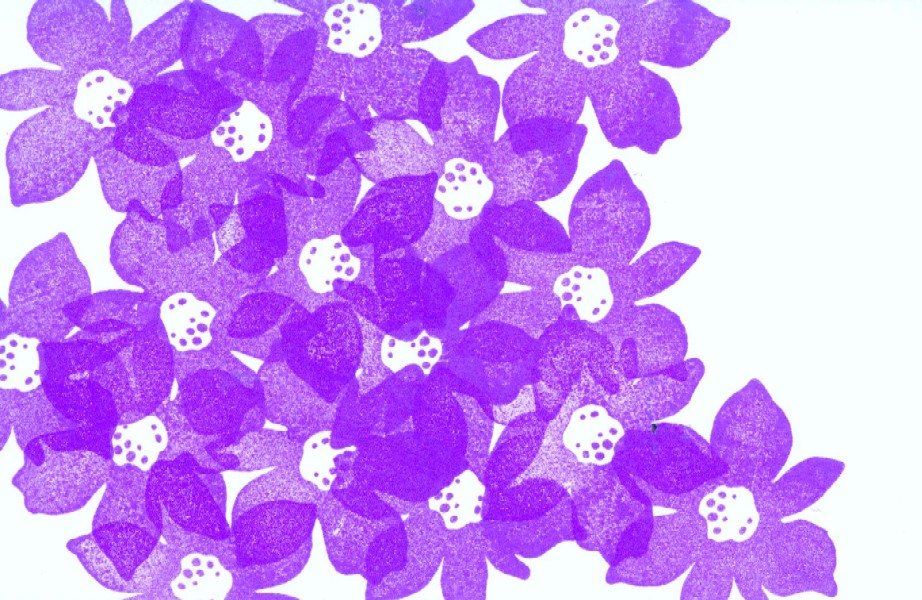 [postcard+14+purple+flowers.jpg]