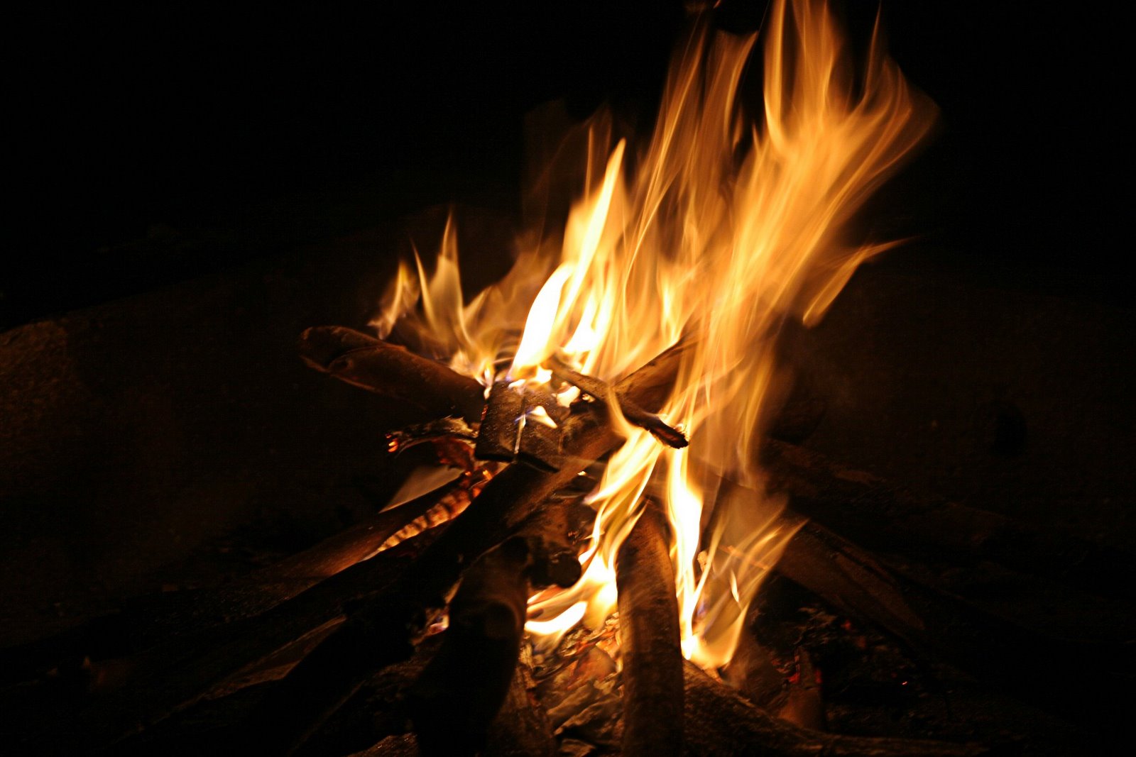 [campfiremedium.jpg]