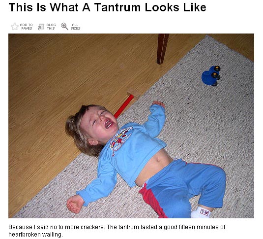 [tantrum+on+flickr.jpg]
