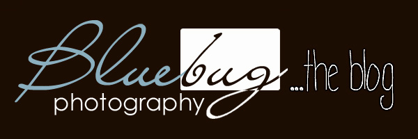Bluebug Photography