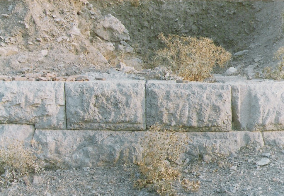 Τμήμα του Αρχαίου Κάστρου του Διστόμου