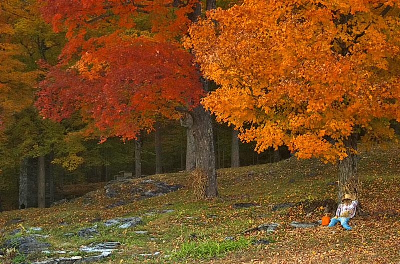 [Vermont Autumn Cliche.jpg]