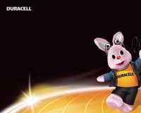 [duracell-rechargeable.jpg]