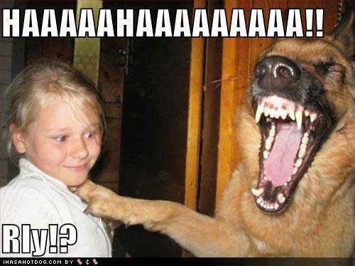 [funny-dog-pictures-laughing-at-little-girl.jpg]