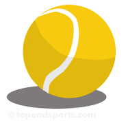 The Eldredge Tennis Ball