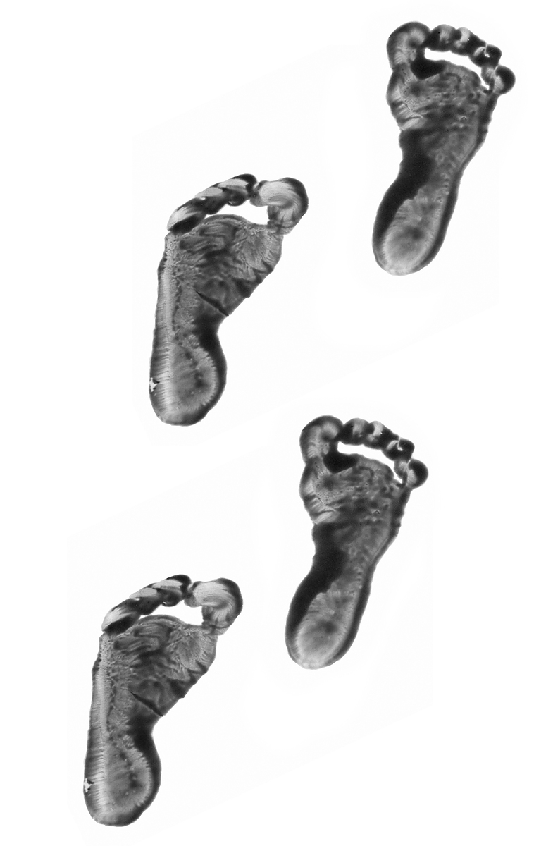 [baby+steps.jpg]