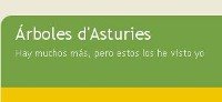 [Arboles+de+Asturias.jpg]