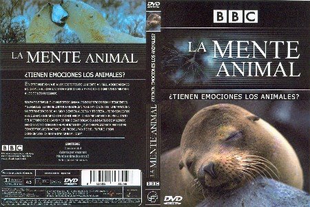[Bbc_-_La_Mente_Animal_-_Tienen_Emociones_Los_Animales_por_seaworld.jpg]