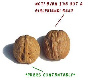 [two+walnuts.bmp]