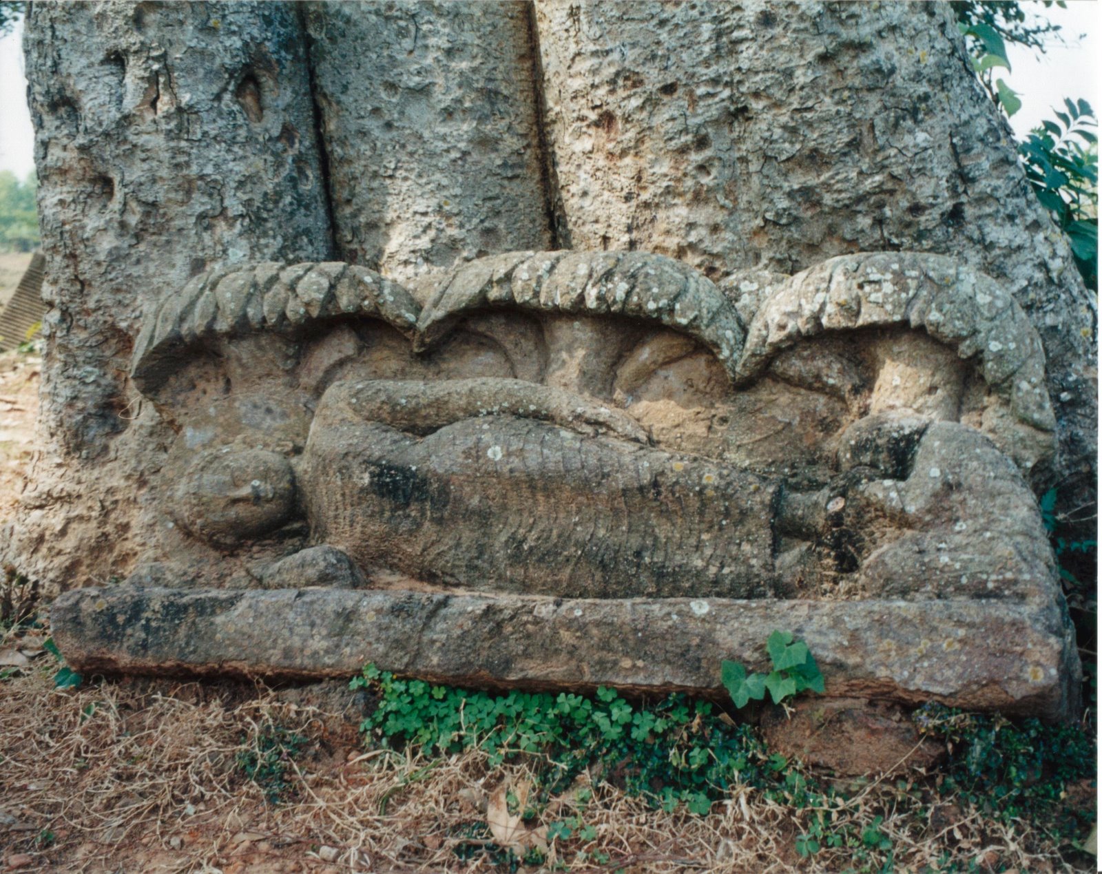 [Orissa+Buddha+Sleeping+Image.JPG]