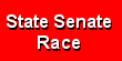 [SenateRace.gif]