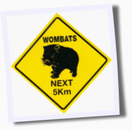 [wombat.gif]