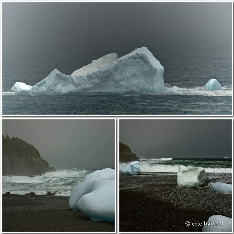 [Icebergs-Middle-Cove.jpg]