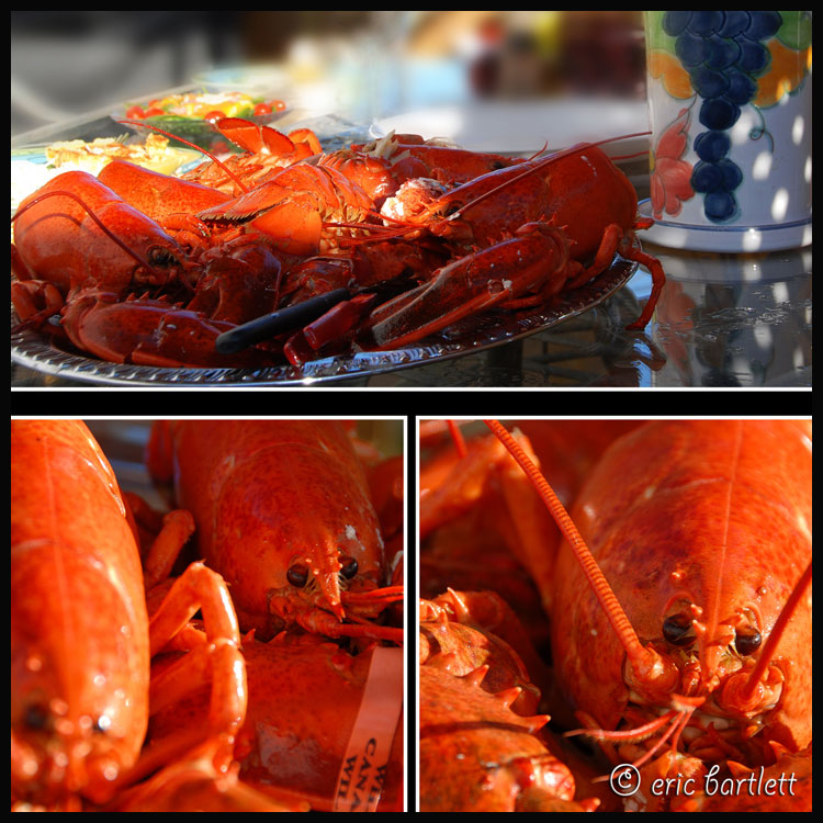[Lobster-feast.jpg]