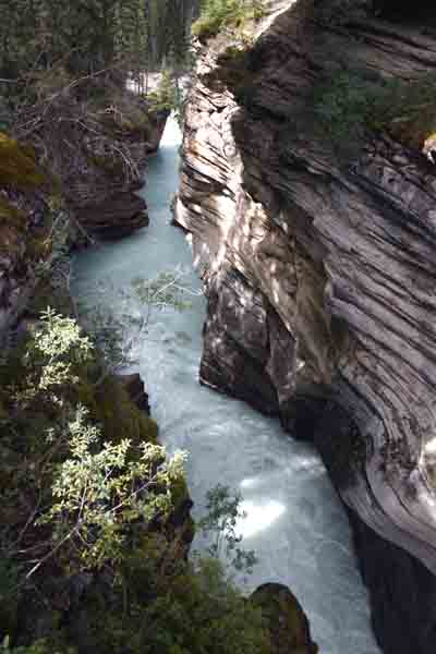 [136+Athabasca+Falls+Jasper+National+Park.JPG]