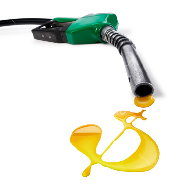 [ist2_4333501_gas_nozzle_with_fuel_dollar_sign_xxl.jpg]