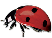[ladybird.png]