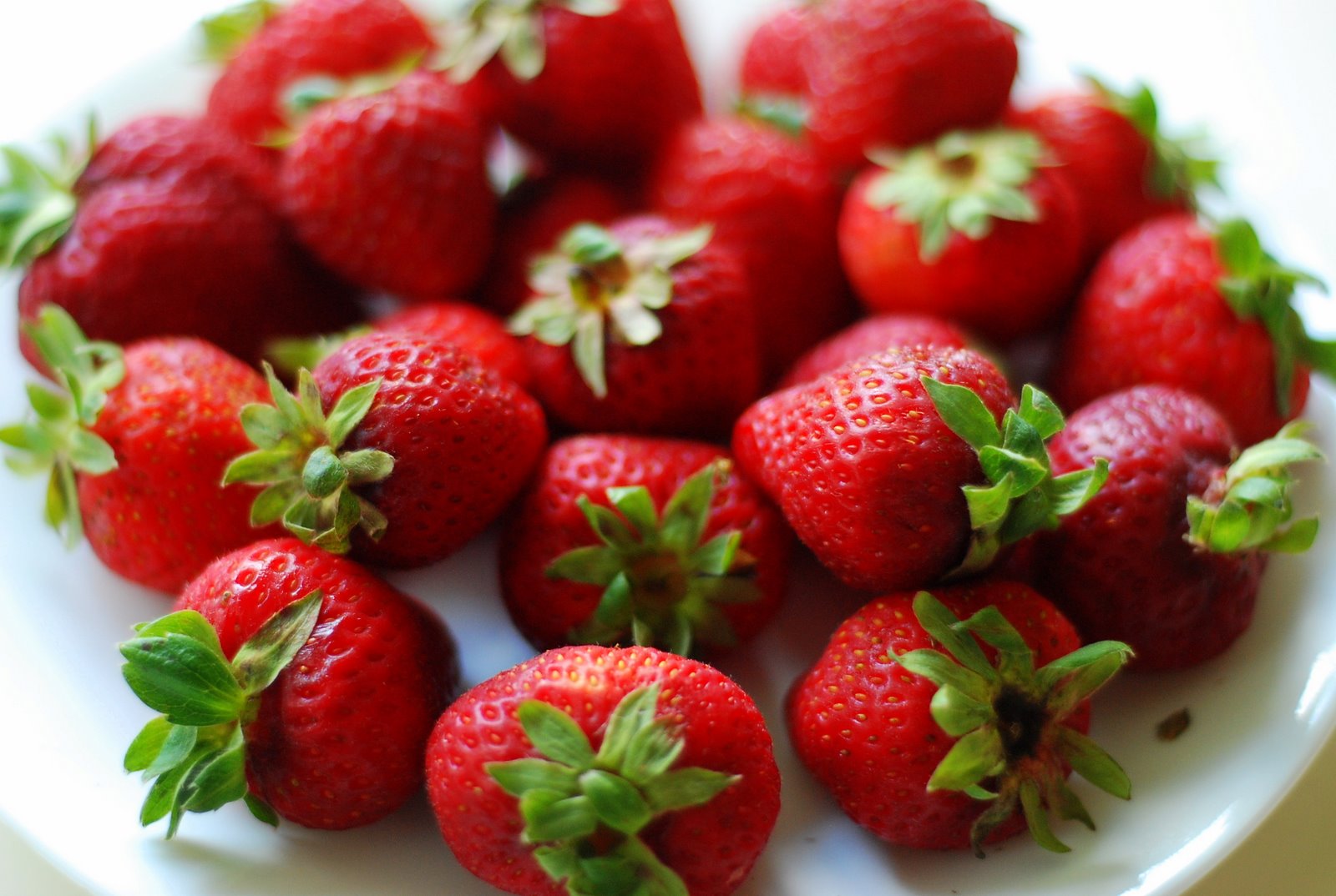 [Chocolate+Strawberries+010.JPG]