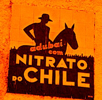 [nitrato+do+chile+changed.jpg]