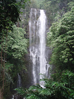 Road to Hana waterfall