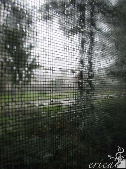 [Raindrops_screen.jpg]