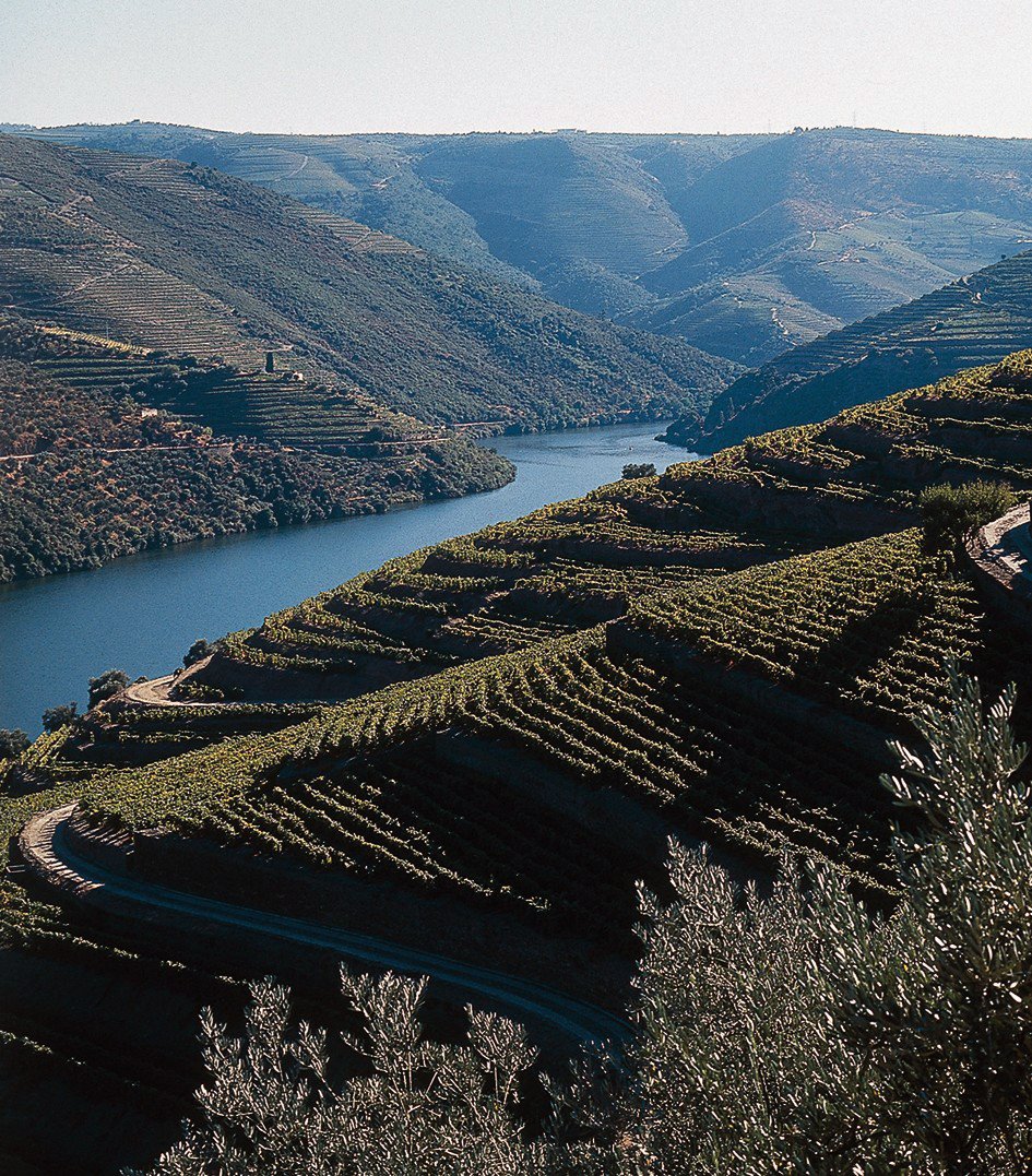 [Douro_view.jpg]