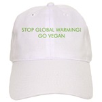 [Stop-global-warming-hat.jpg]