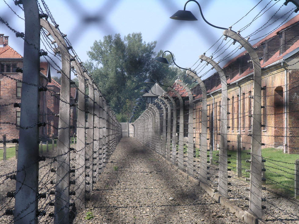 [Auschwitz+039.JPG]