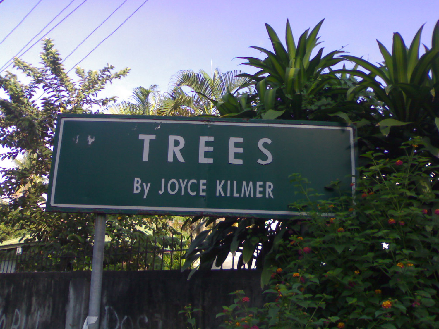 [trees+by+kilmer.jpg]
