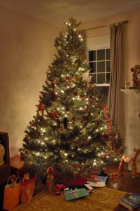 [432104_christmas_tree.jpg]