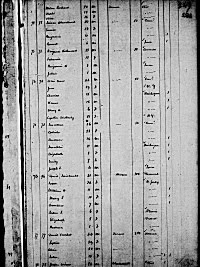 An 1850 U.S. Census Image from Utah Territory