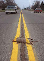 Roadkill on the Information Highway