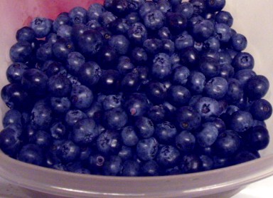 [blueberry.JPG]
